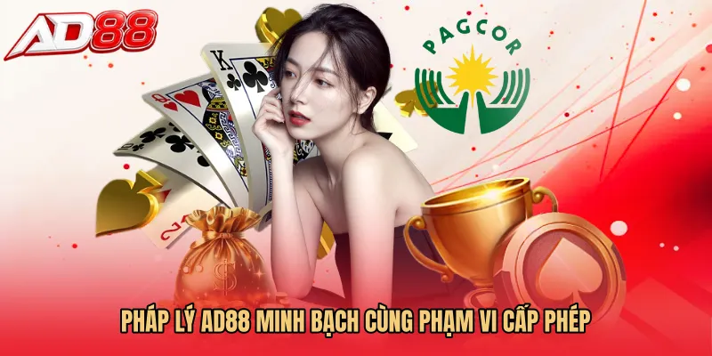 Pháp lý AD88 minh bạch cùng phạm vi cấp phép